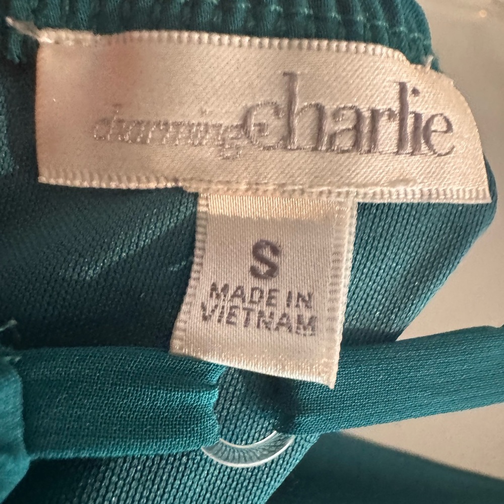 Charming Charlie Teal Top